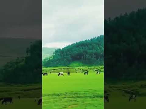 انها رواندا الافريقية افريقيا رواندا  