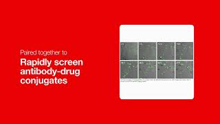 Capture Brighter, Sharper Images with Enhanced Imaging Solutions