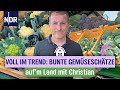 Von Lila bis Orange – Christian erntet farbenfrohes Gemüse und hat damit Erfolg | Folge 9 | NDR