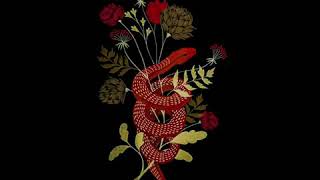 Ameer Ali - Gimme Sum Audio