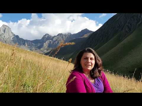 მისალმება