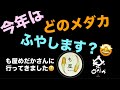 今年はどのメダカを増やそうかな？も屋めだかさんに寄って見ました😆　​⁠@rakumedaka
