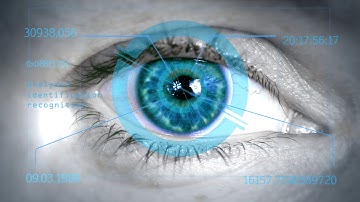 EyeScan Biometrics