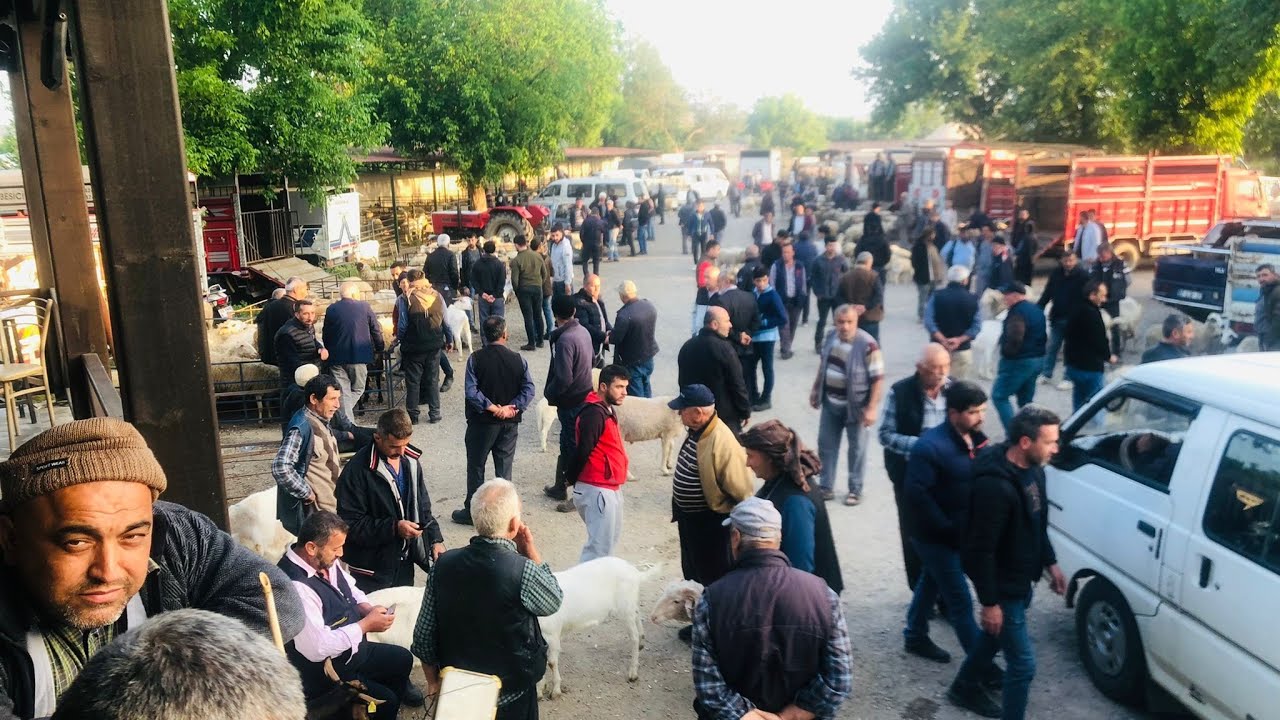 TÜRKİYE'NİN EN İLGİNÇ HAYVAN PAZARINDA KURBANLIK FİYATLARI.
