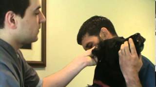House Paws Mobile Veterinary Clinic: Cleaning your Dog's Ears