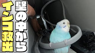 【珍しい依頼も】コロナ禍の師走も大忙し!!便利屋さん密着から見える世の中は･･･【大阪】