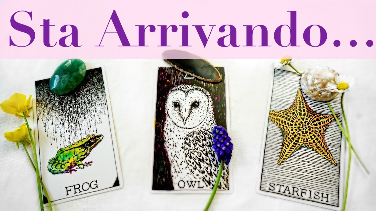 Cosa stai chiamando e arriverà presto nella tua vita? TAROCCHI INTERATTIVI PRIMO QUARTO