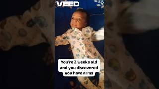 Discovery at 2 weeks