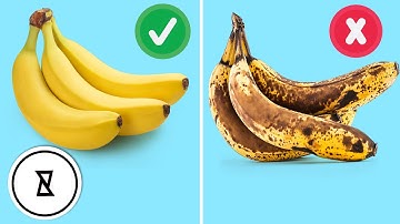 10 Foods You