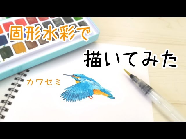 水彩絵の具】カワセミ描いてみた - YouTube