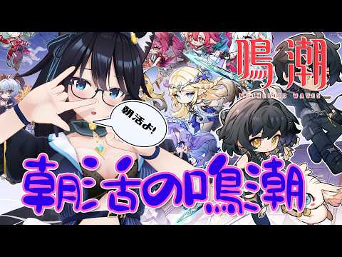 【朝活鳴潮】のんびり探索などしつつご挨拶～　🐈【#鳴潮/75】