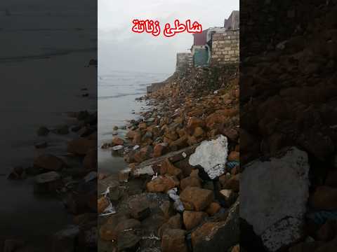 شاهد شاطئ زناتة ماذا فعل البحر للكبانوات  سمك  صيد