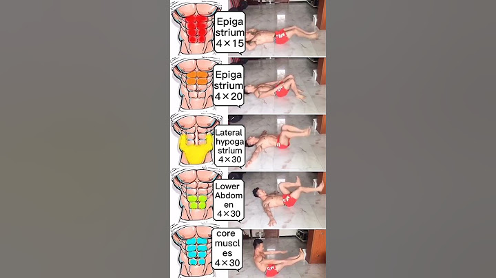 Como Fazer Abdominais I 5 Formas Eficientes #shorts