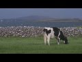 Kerrygold Farmer Family - Thomas Mahon, Co. Galway