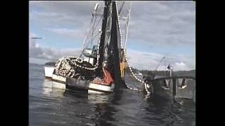 Southeast Alaska Salmon fishing