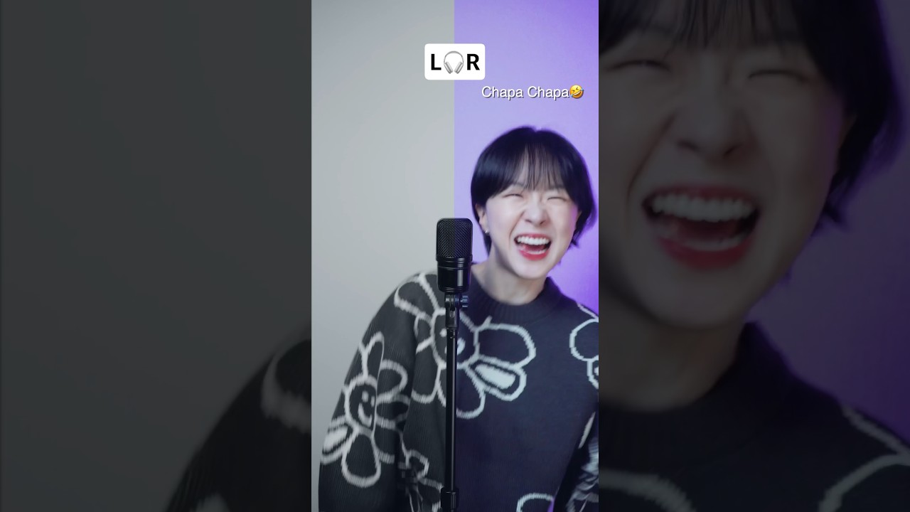 🐈‍⬛CHIPICHIPI CHAPACHAPA (cover) 