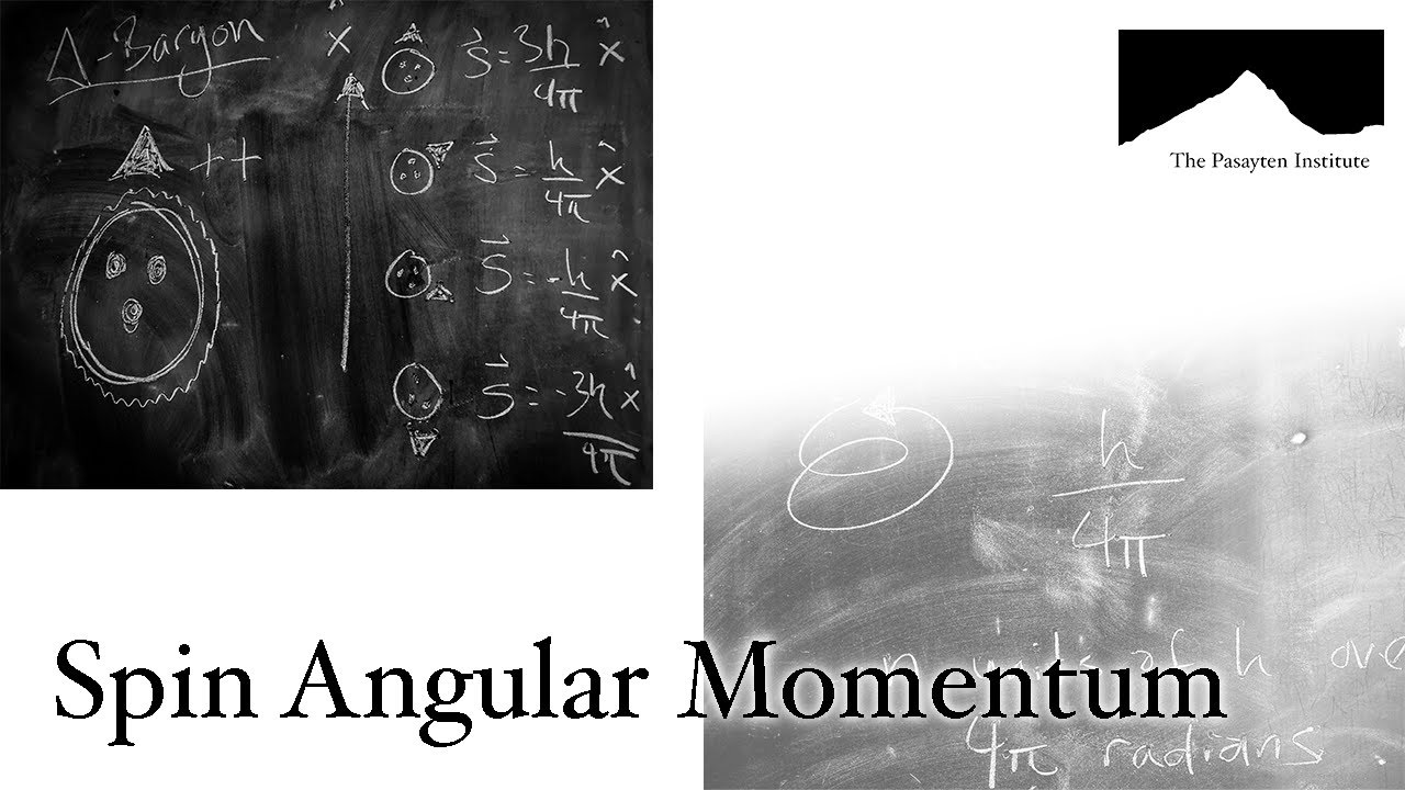 Spin Angular Momentum