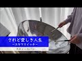 スティールパンで『されど愛しき人生』~スキマスイッチ~/steelpan