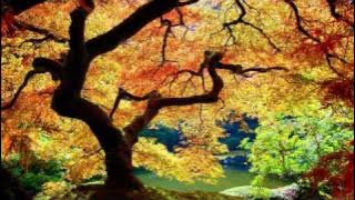 U-Recken - Lost Paradise [HD]