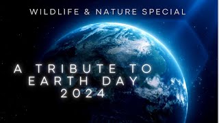 EARTH DAY TRIBUTE- Wildlife