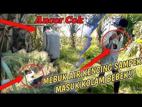 Mas KiwolL MENDEM AIR KENCING SAMPAI TENGGEN PARAH
