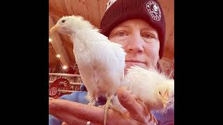 Painting ‘peeps’ with artist Vicki Sawyer