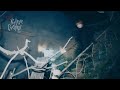 YESUNG 'Not Nightmare Christmas' Highlight Medley