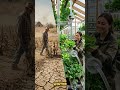 😱 Do Plants REALLY Need Sunlight? The Truth Will Surprise You! 🌱