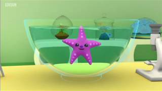 Octonauts | Season 1 | The Lost Sea Star | Full Episode