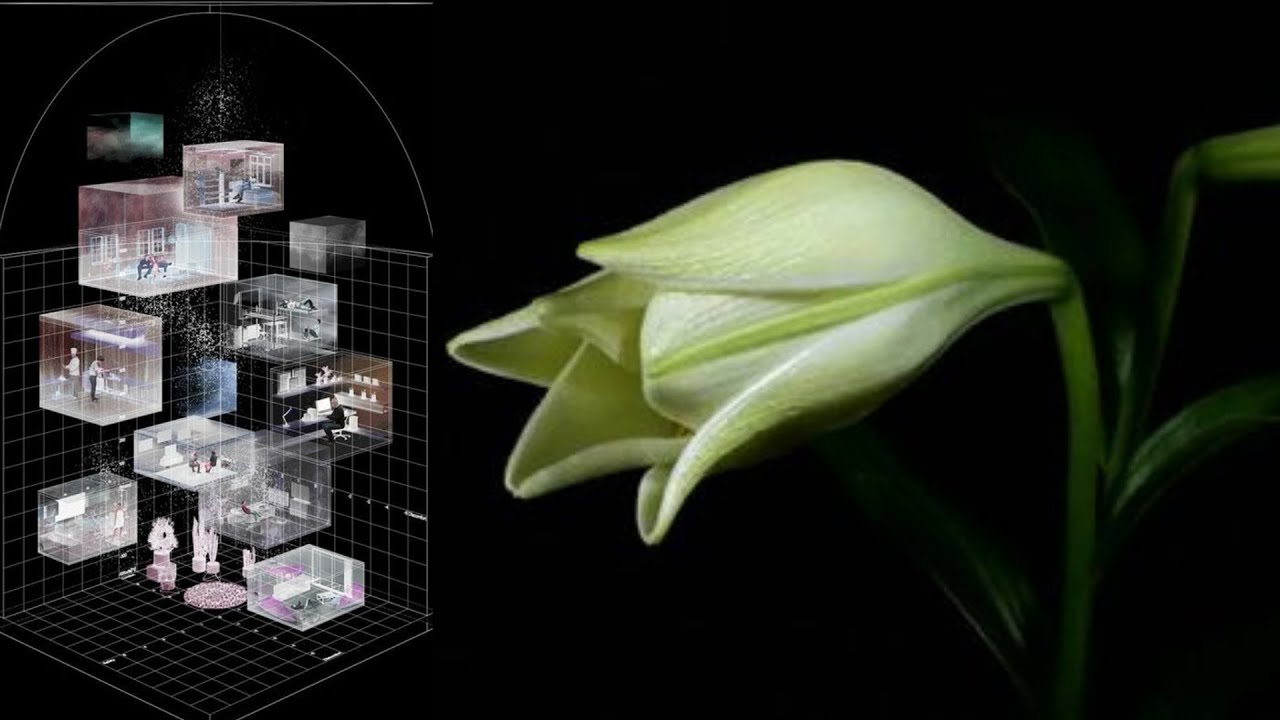 nettspend x ken carson x 2hollis type beat - "iguess" (prod. wulfe)