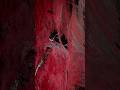 इस planet पर जंगल लाल colour का है | wolf-1069 planet #facts  #shorts #youtubeshorts