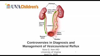 4.15.2020 Urology COViD Didactics - Controversies in Diagnosis and Management of VUR