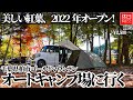 1124【キャンプ】美しい紅葉、2022年オープン！【千葉県 柏市】 ゴールドマウンテンオートキャンプ場に行く、サイトを探索する