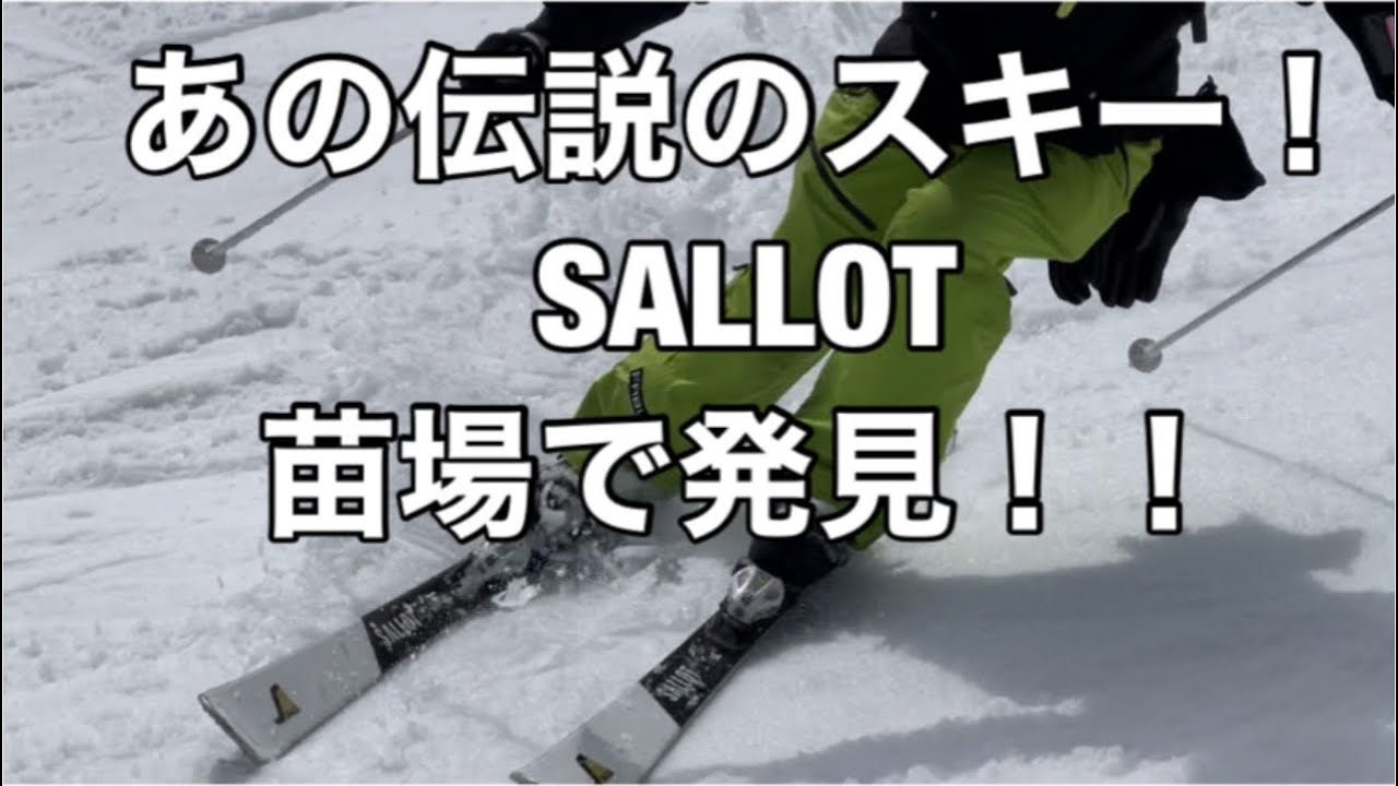 SALLOT サロットスキーポール 伸縮式ストック 私をスキーに