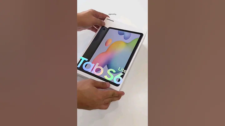 Samsung Tab S6 Lite - 天天要聞