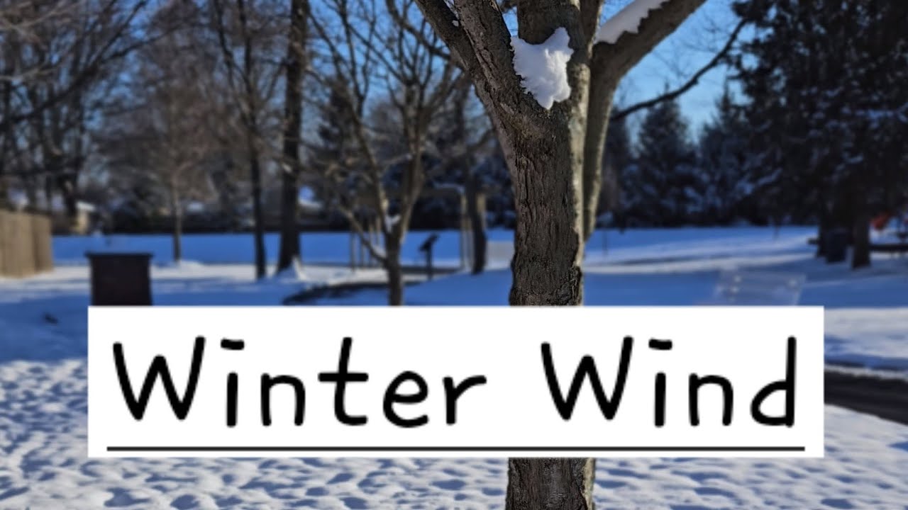 Winter Wind ❄️ | A Piano Guys Instumental Cover Winter Wind ❄️ | A Piano Guys Instumental Cover
