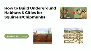 How to Build Underground Habitats for Squirrels and Chipmunks