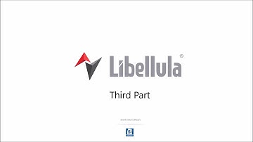 Libellula CAD 3D  5 axis