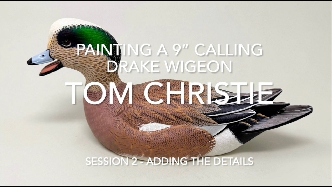 Painting a Calling Wigeon Drake Session 2 - Adding The Details