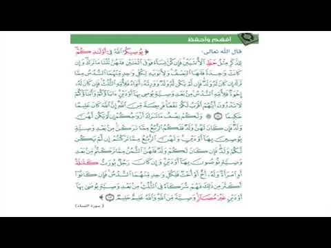سورة النساء ١١ ١٢ للقارئ منصور السالمي