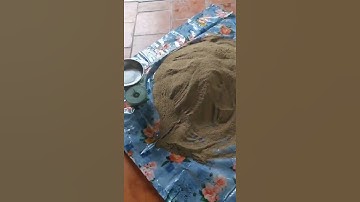 #shorts mồi câu cá tra sông