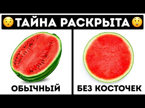 Как растут плоды без косточек или 25 невероятных фактов обо всем на свете!