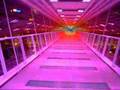 The Casino Riverboat Treble Clef - YouTube
