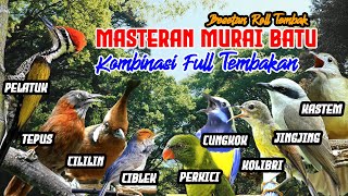 Download Lagu MASTERAN MURAI BATU HARIAN - FULL ISIAN TEMBAKAN‼️ MP3