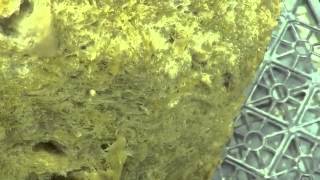 Social Grow LA Affair Update #5