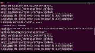 Utilizing NUMA Tools to Optimize Data Movement Across CXL-Attached Nodes