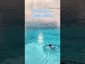 Gan laamu atoll - Rahaa resort morning swim