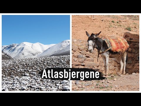 Video: Atlasbjergene Er Et Særskilt Bjergrigt Land