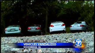 Vandals damage more than 30 vehicles in Woodbridge