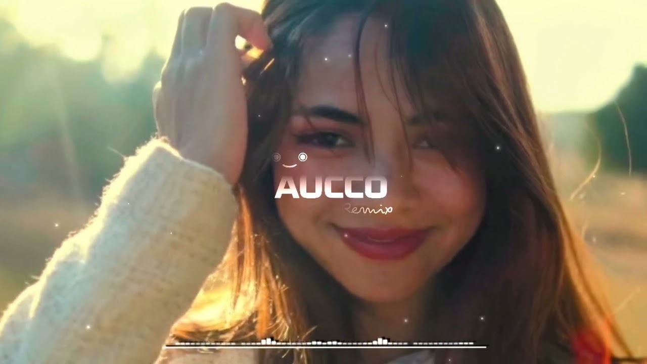 Theh Lut - Ïari x Wanpli ✨ ( Aucco Remix )